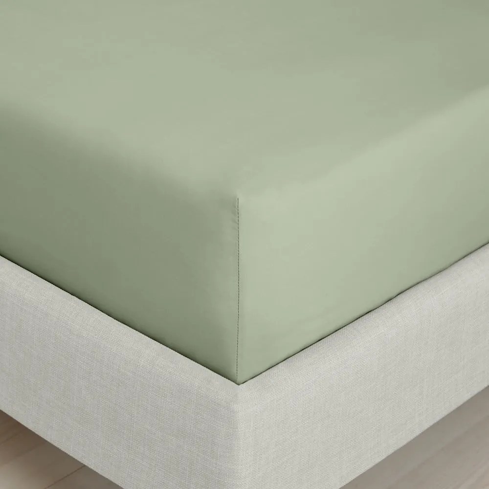 Zelená napínacia plachta z bavlneného perkálu 90x190 cm Cotton Percale – Bianca