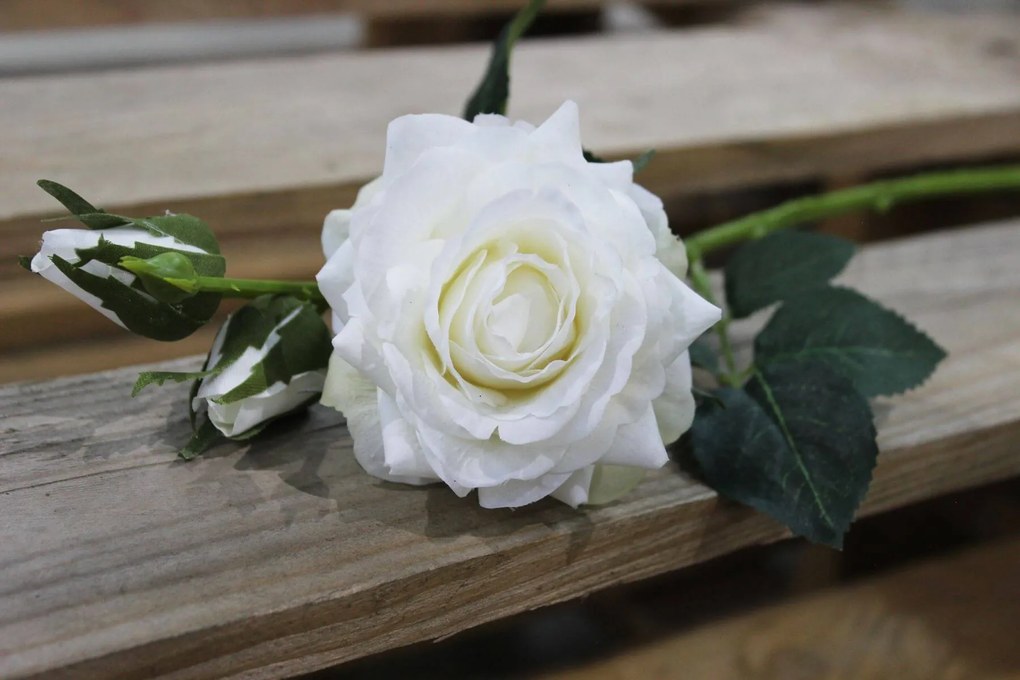 Biela umelá ruža s pukmi 42cm