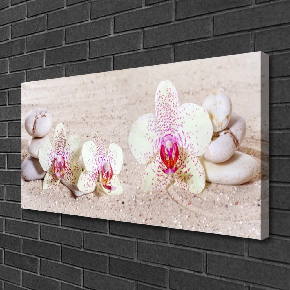 Obraz Canvas Orchidea kamene zen písek 120x60 cm