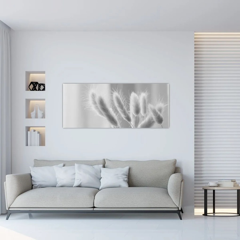 Obraz - Bunny tail grass (120x50 cm)