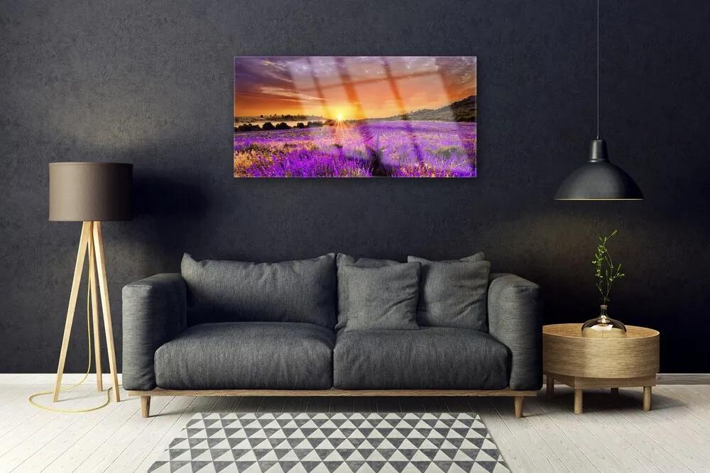 Skleneny obraz Západ slnka pole levanduľa 125x50 cm
