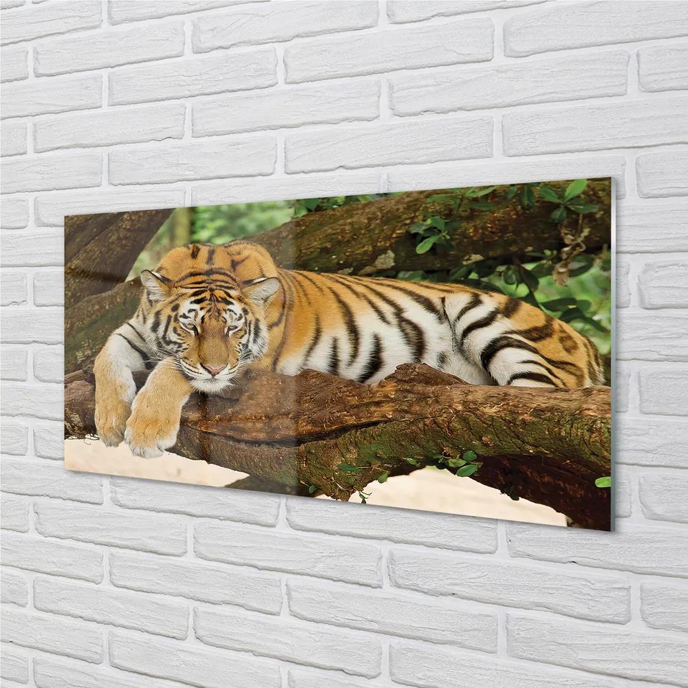 Obraz na akrylátovom skle Tiger tree 125x50 cm