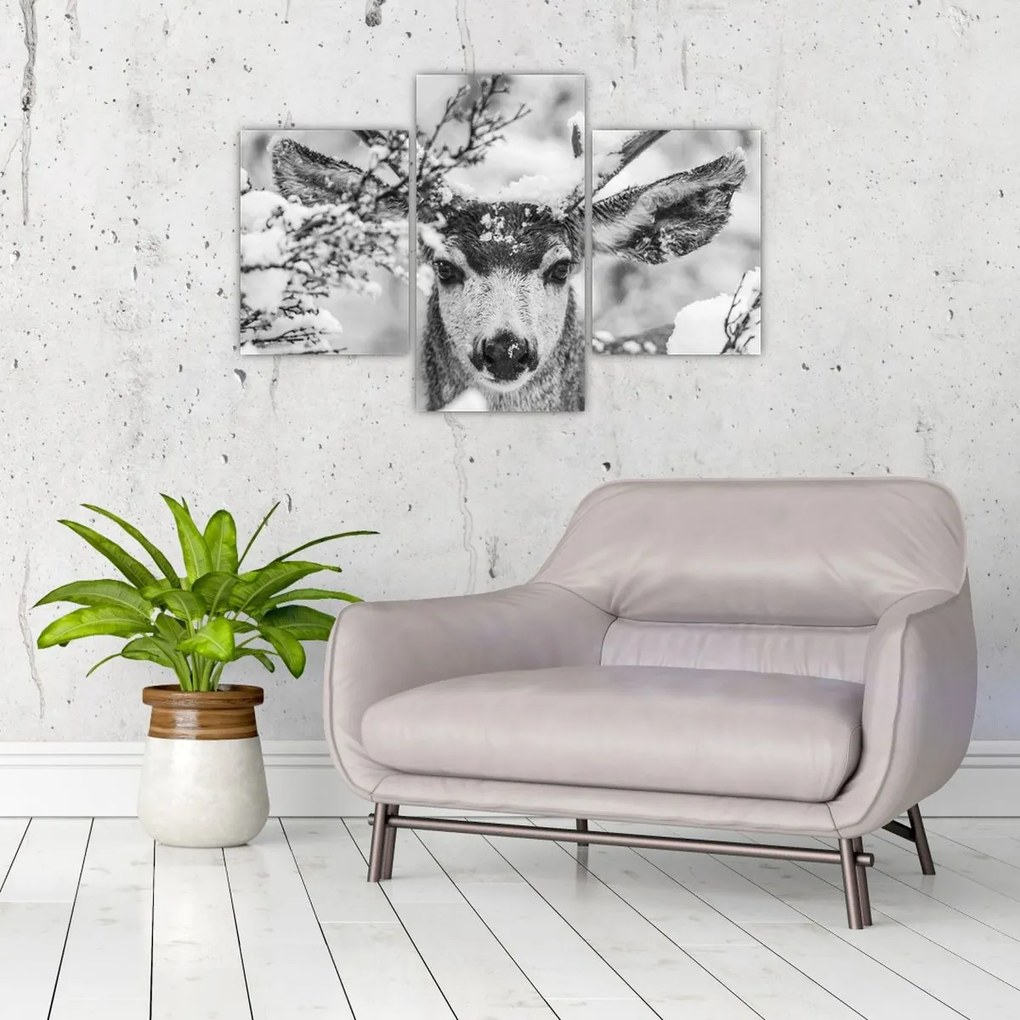 Obraz - Jeleň v zime (90x60 cm)