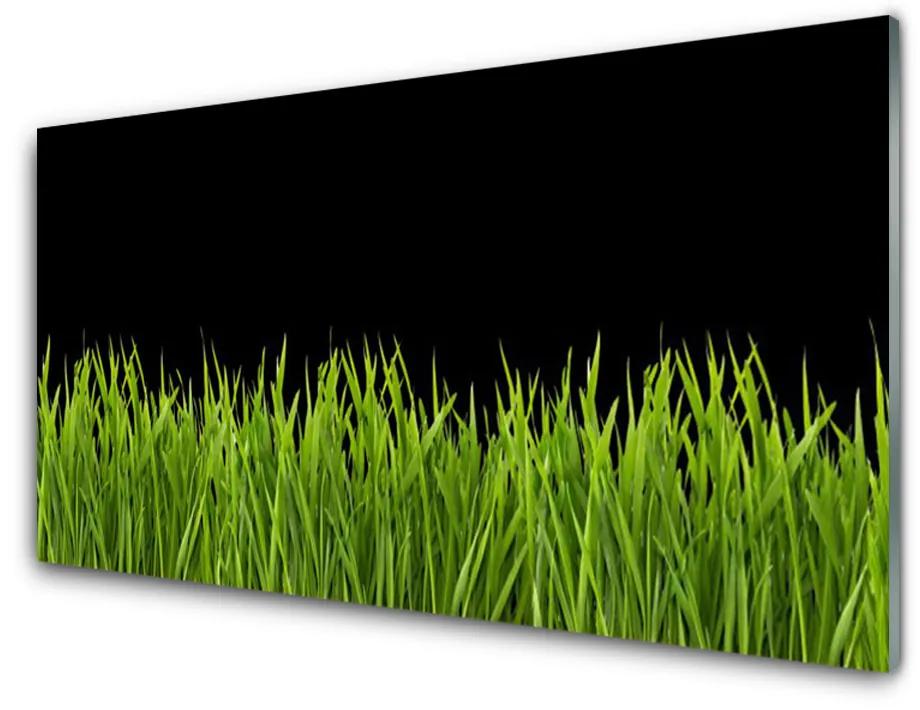 Sklenený obklad Do kuchyne Zelená tráva príroda 140x70 cm
