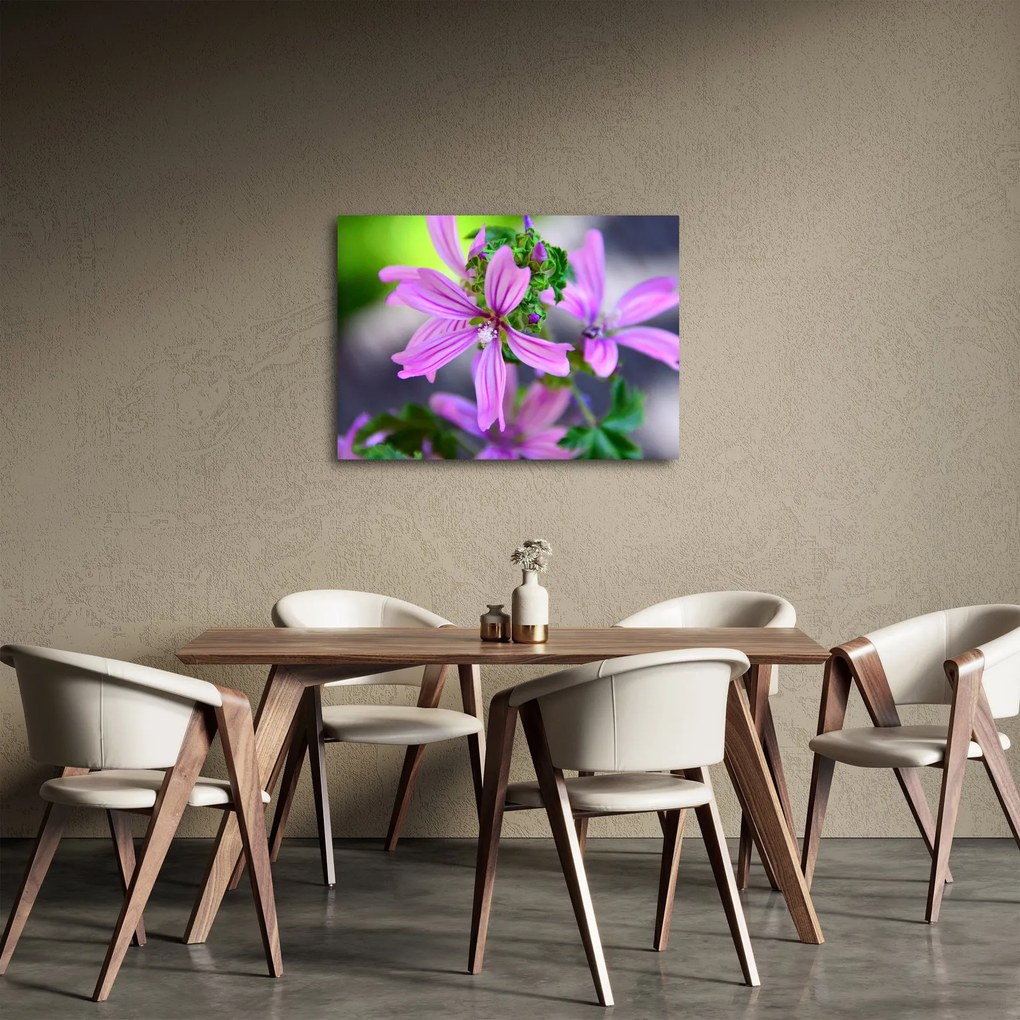 Detailný obraz kvetiny (70x50 cm)