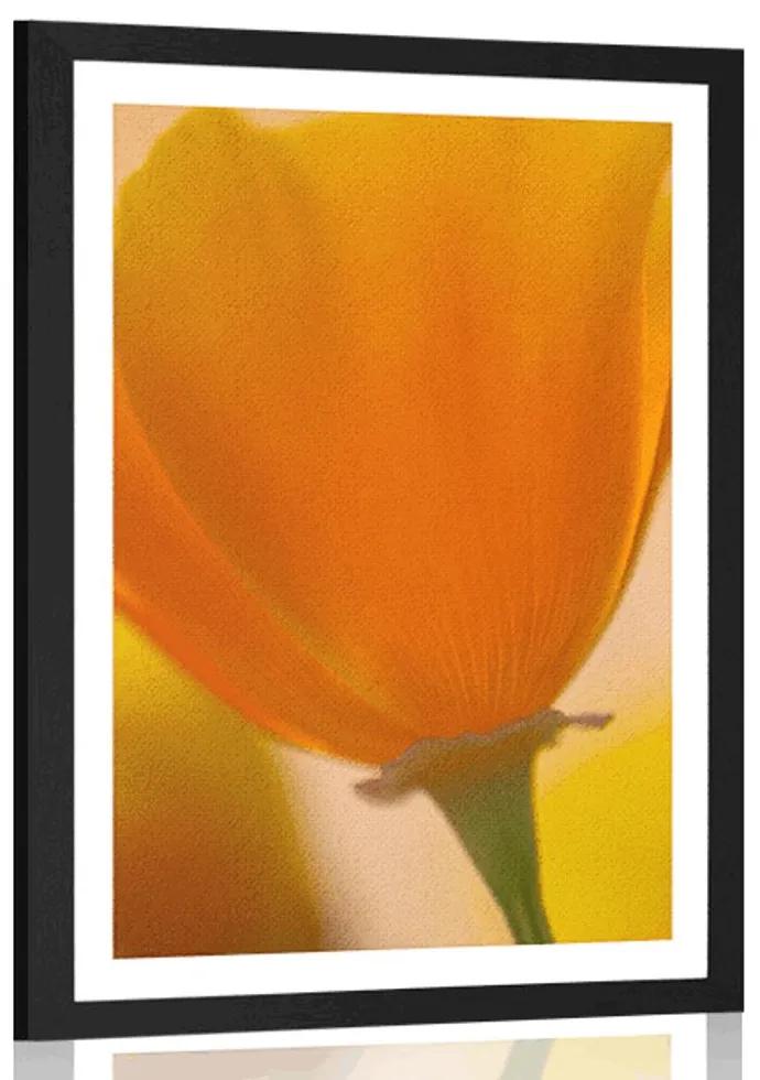 Plagát s paspartou kytica kvetov v detailnom zábere - 30x45 white