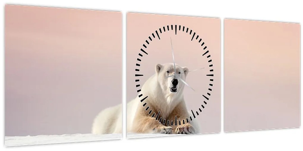 Obraz - Ľadový medveď (s hodinami) (90x30 cm)