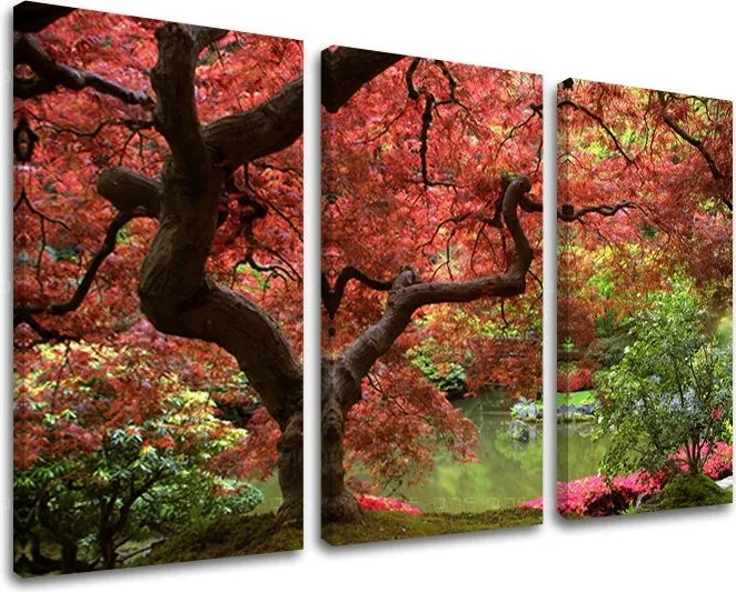 Obraz na stenu 3 dielny STROMY ST001E30