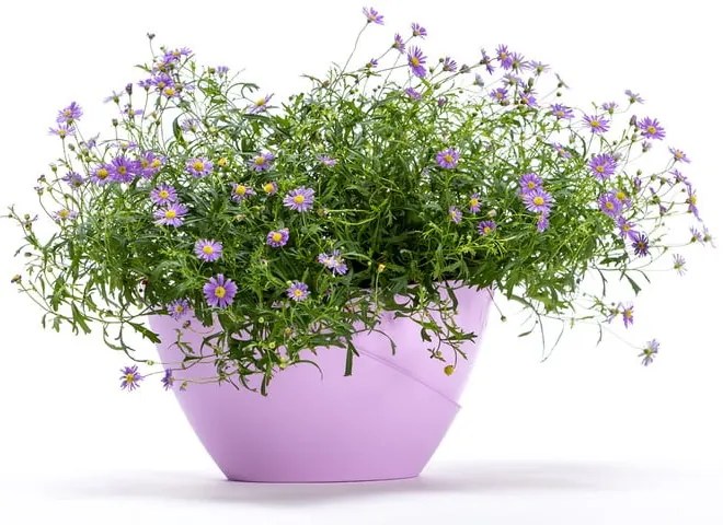 Pastelovofialový samozavlažovací kvetináč Plastia Doppio