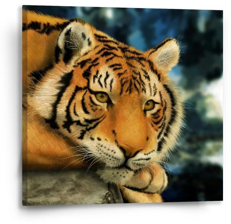 Sablio Obraz tiger - 50x50 cm