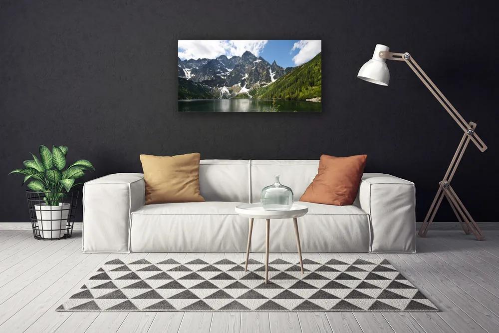 Obraz na plátne Hora jazero les príroda 120x60 cm