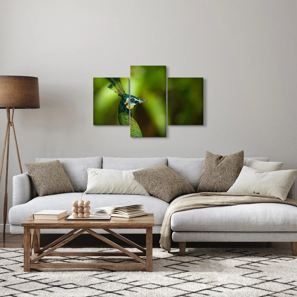 Obraz páva (90x60 cm)