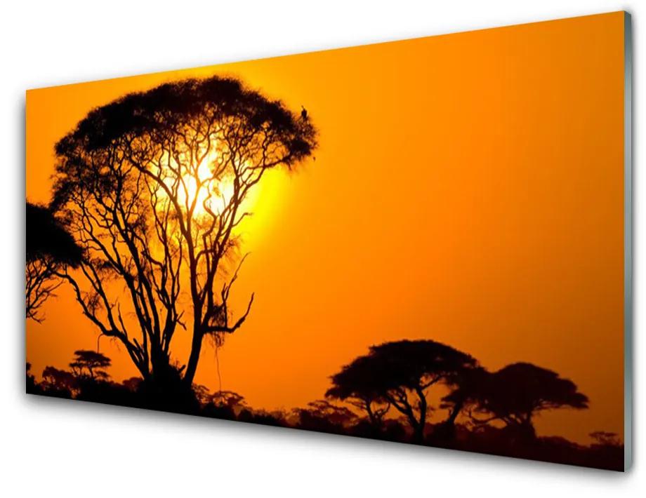 Obraz na akrylátovom skle Strom slnko príroda 100x50 cm