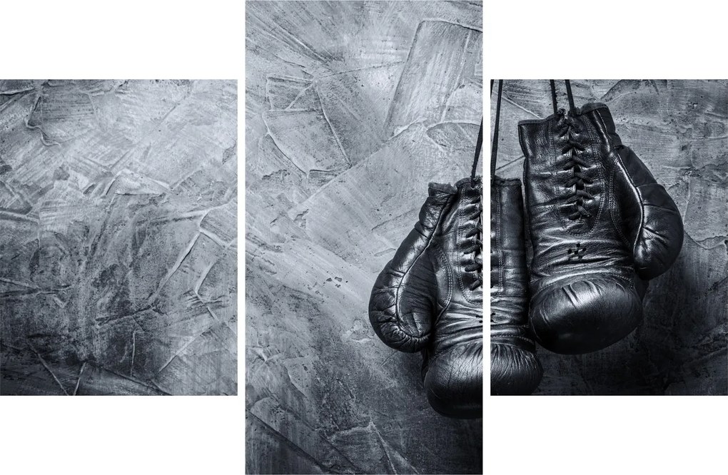 Obraz - Boxerské rukavice (90x60 cm)
