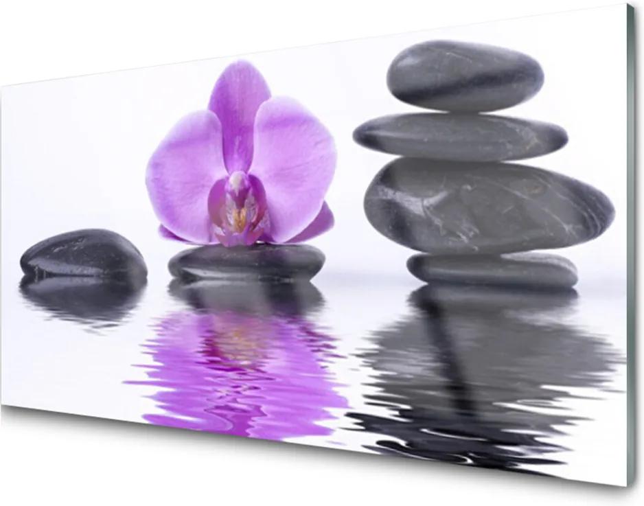 Obraz na akrylátovom skle Kvet Kamene Umenie