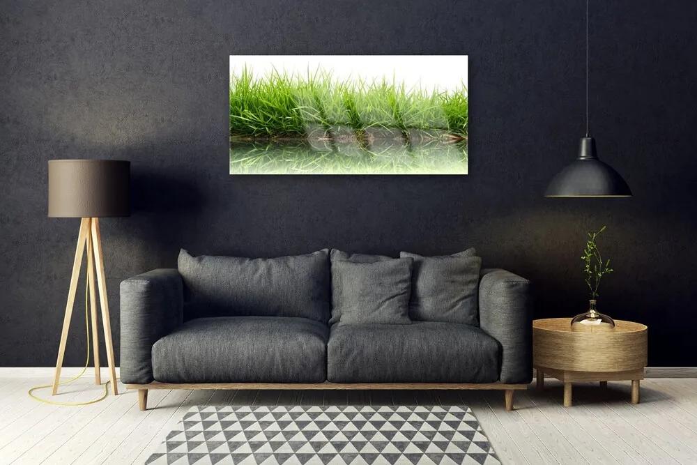 Obraz na skle Tráva voda príroda rastlina 140x70 cm