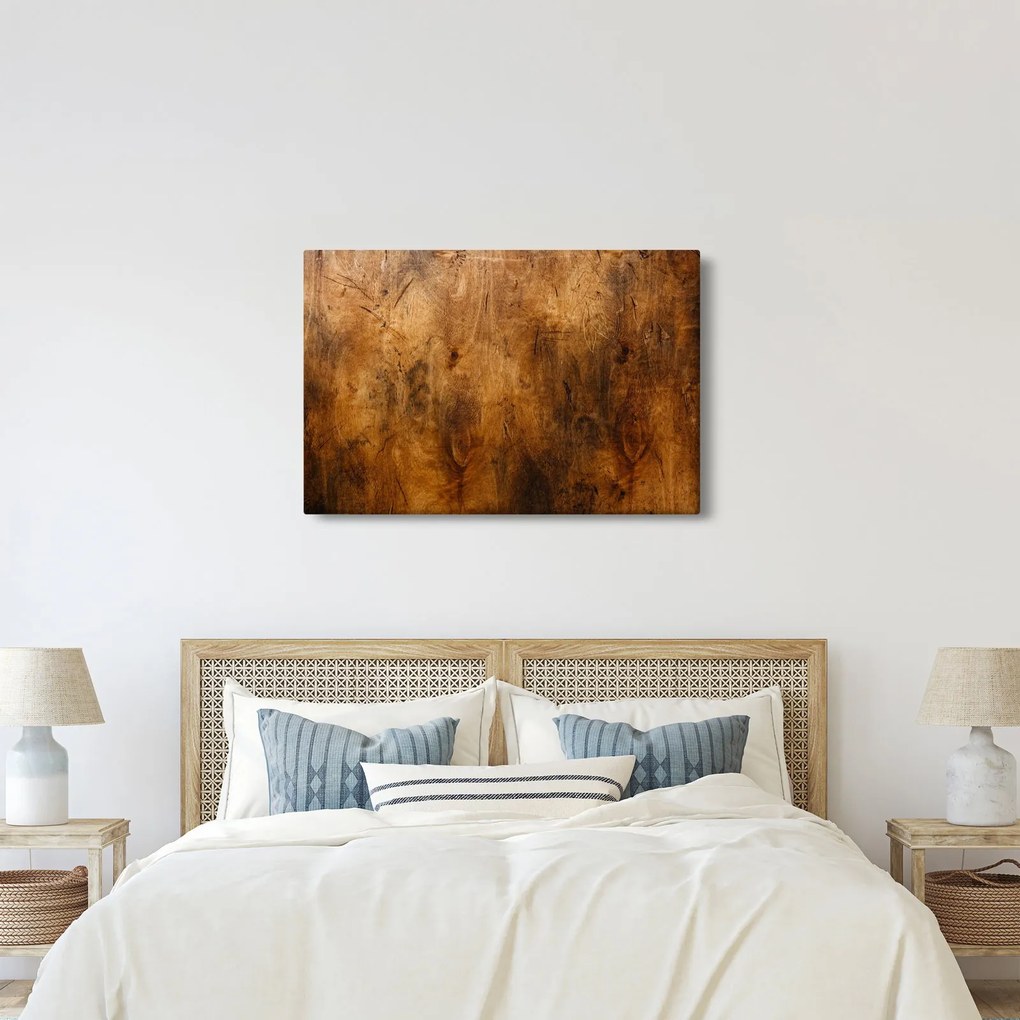 Obraz - Detail dreva (90x60 cm)