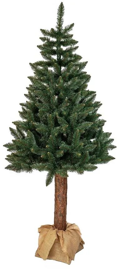 Smrek na kmeni 190 cm