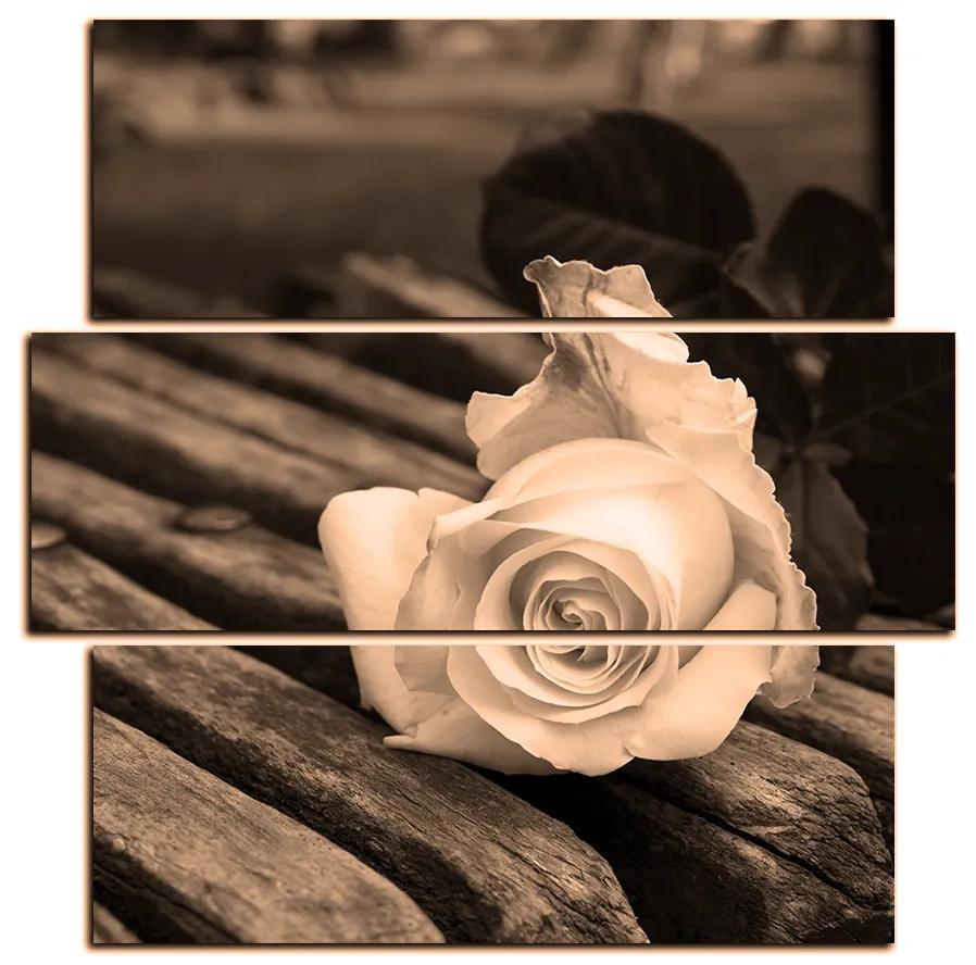 Obraz na plátne - Biela ruža na lavici - štvorec 3224FD (105x105 cm)