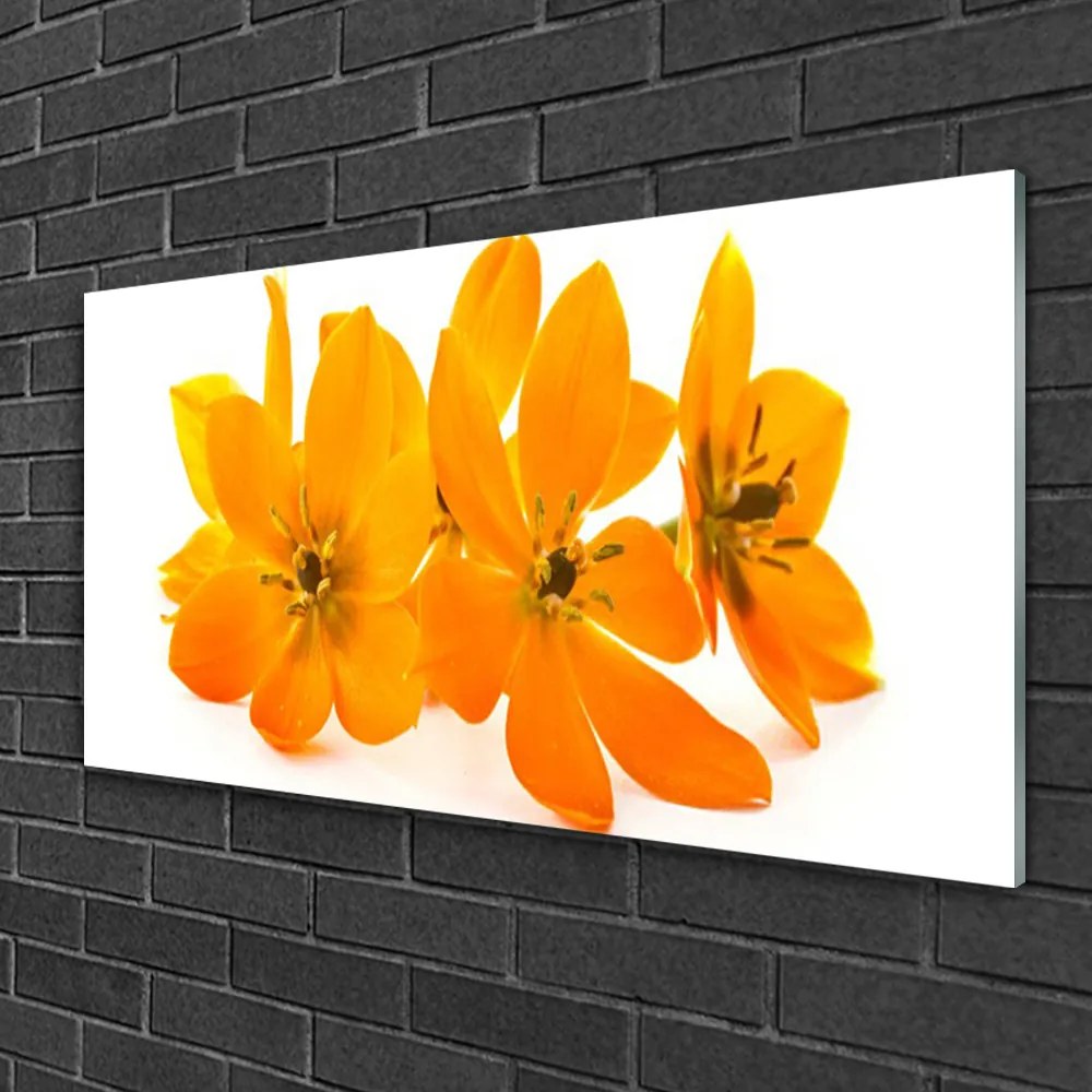 Obraz na skle Oranžové kvety 125x50 cm