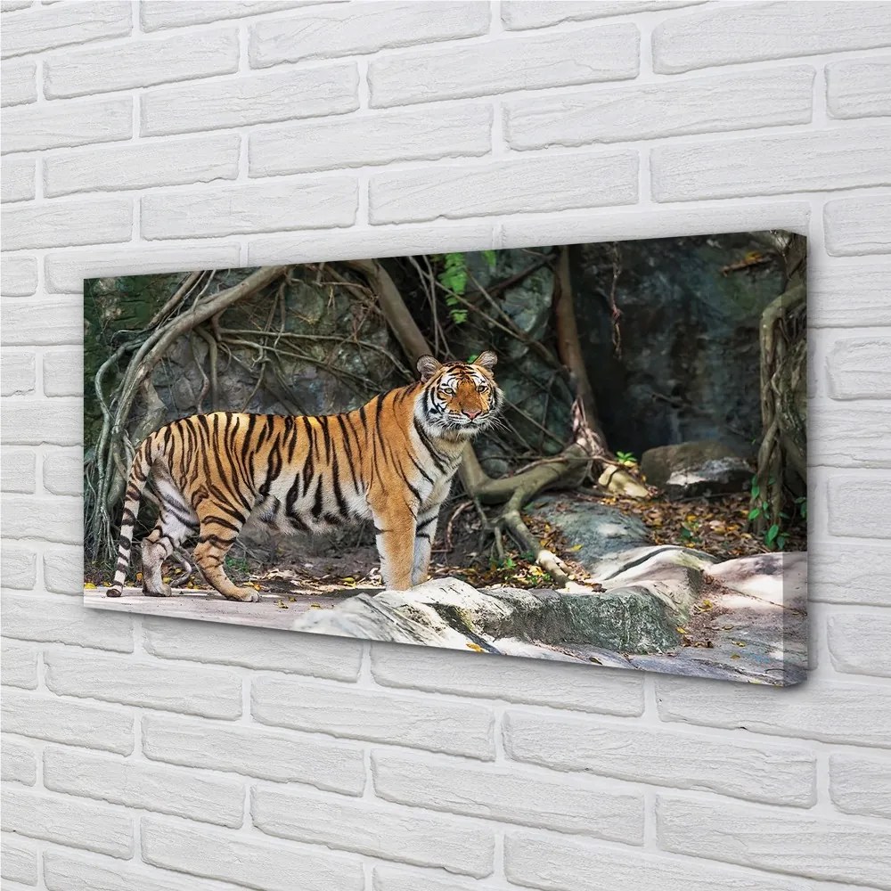 Obraz na plátne tiger džungle 125x50 cm