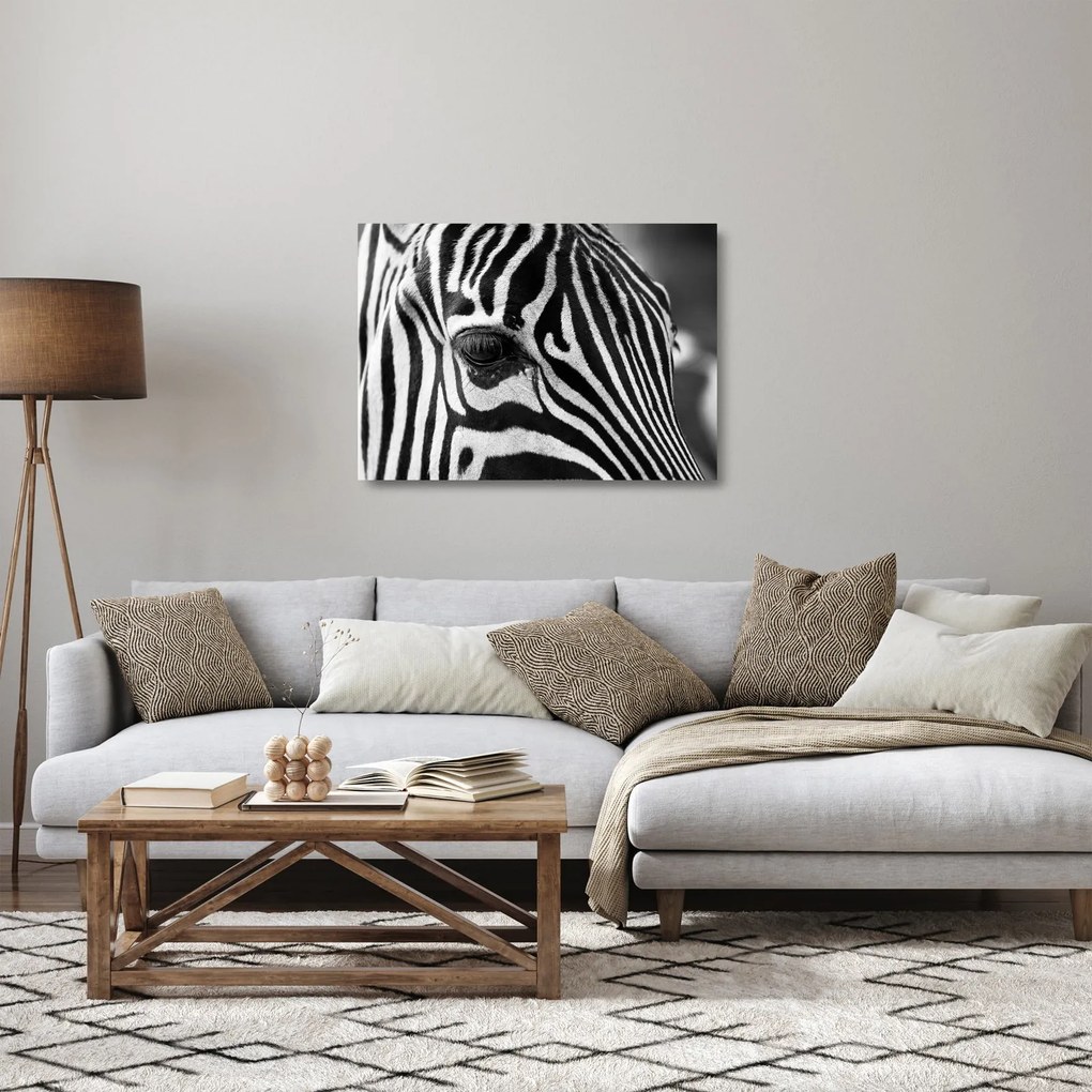 Sklenený obraz zebry (70x50 cm)