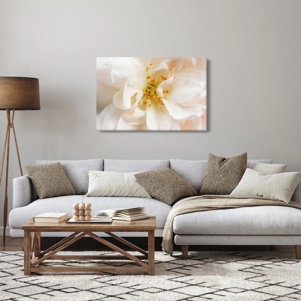 Obraz - Kvet (90x60 cm)