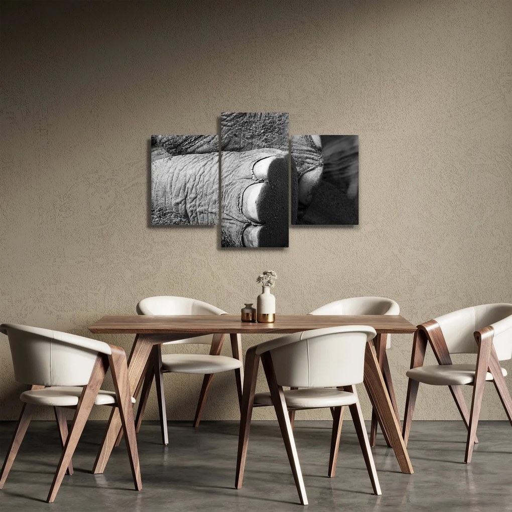 Obraz - Slonia noha (90x60 cm)