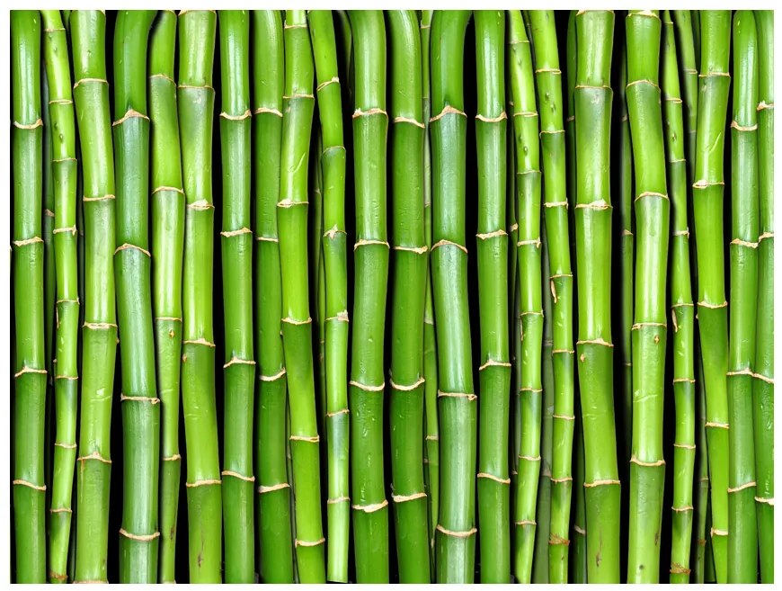 Artgeist Fototapeta - Bamboo wall Veľkosť: 250x193, Verzia: Standard