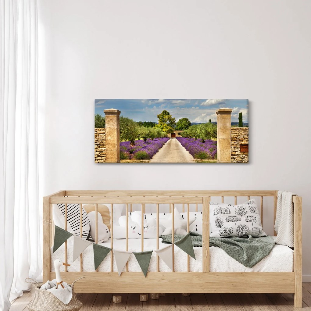 Obraz - Levanduľové cesty (120x50 cm)