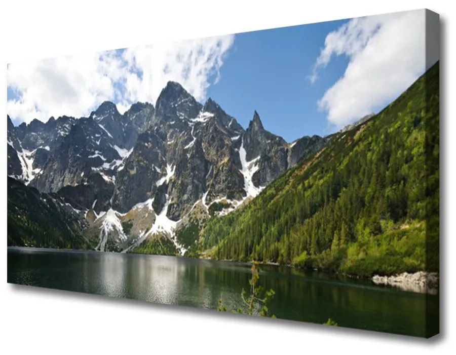 Obraz na plátne Hora jazero les príroda 120x60 cm