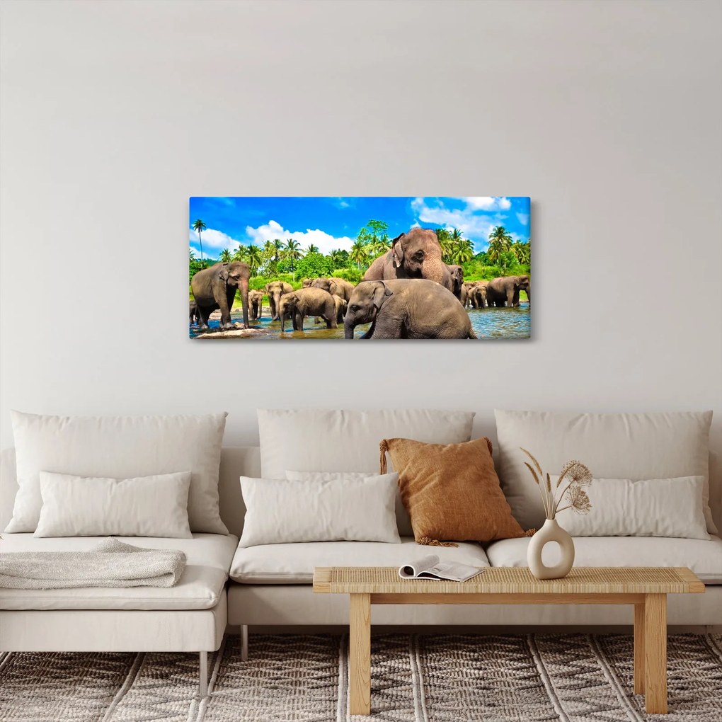Obraz - Slony, Sri Lanka (120x50 cm)