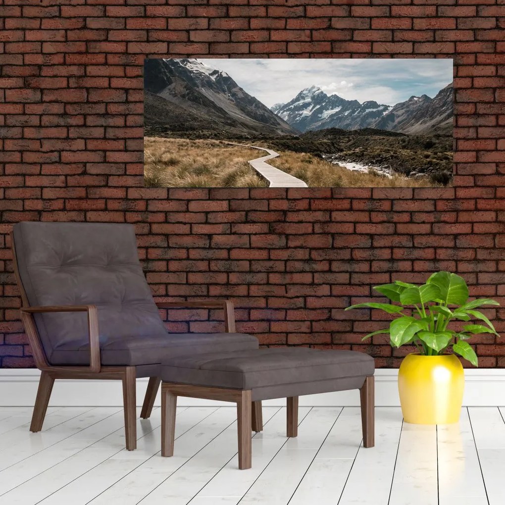 Obraz - Chodník v údolí hory Mt. Cook (120x50 cm)