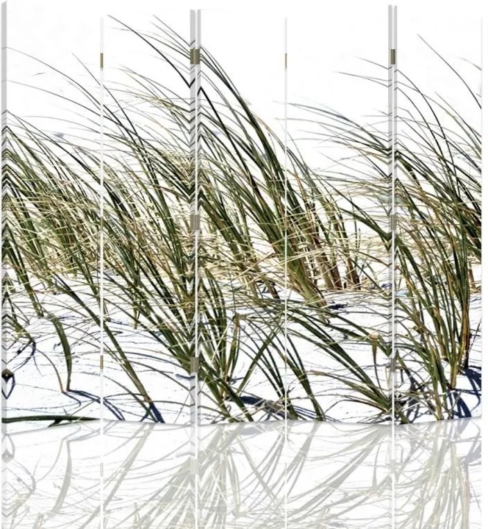 CARO Paraván - Grass On The Beach | päťdielny | obojstranný 180x150 cm