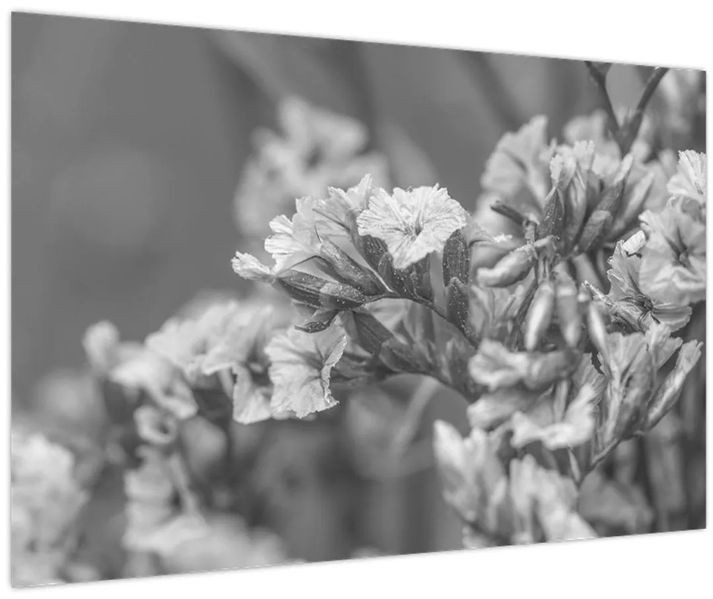 Obraz - Sušené kvety (90x60 cm)