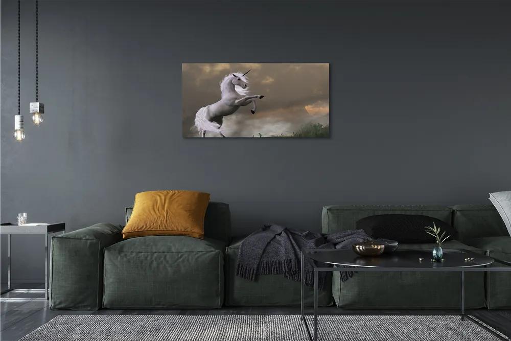 Obraz na plátne Unicorn top 120x60 cm