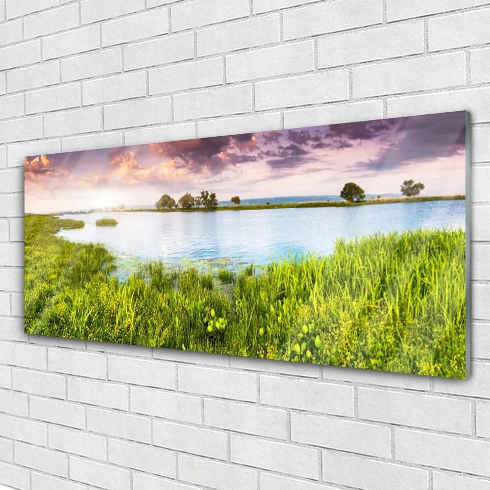 Obraz plexi Tráva jazero príroda 125x50 cm