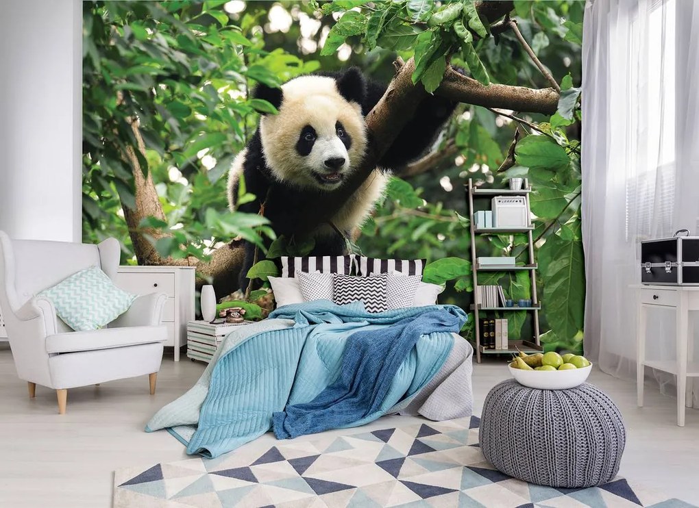 Fototapeta - Panda na strome (152,5x104 cm)