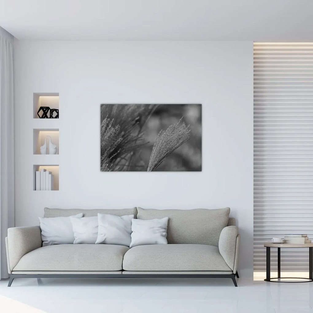 Obraz - Sušená pampová tráva (90x60 cm)