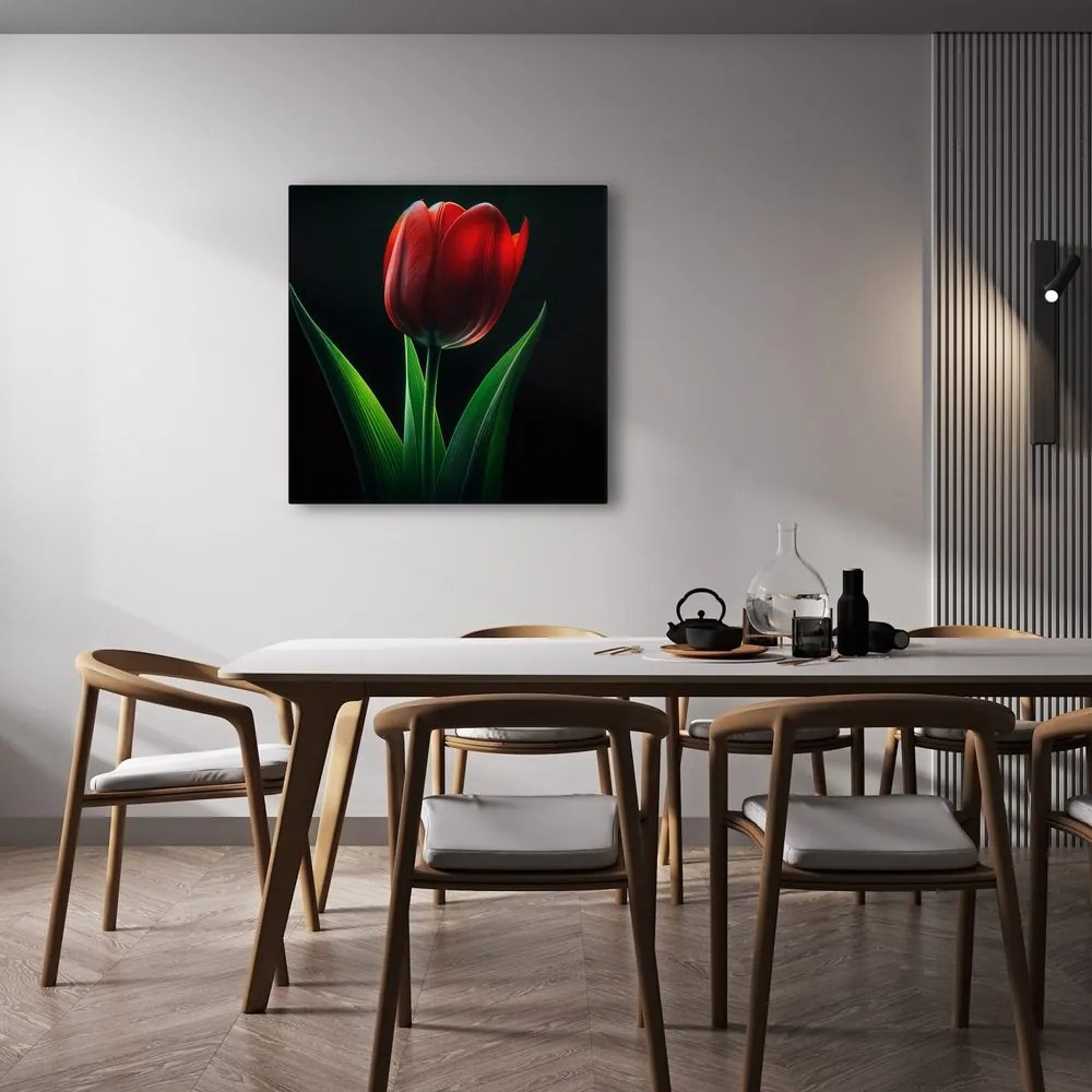 Obraz kvet tulipánu v noci
