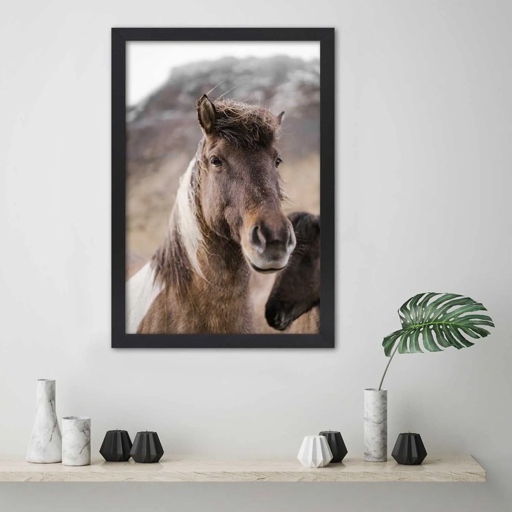 Gario Plagát Kôň na horskom pozadí Farba rámu: Bez rámu, Rozmery: 30 x 45 cm