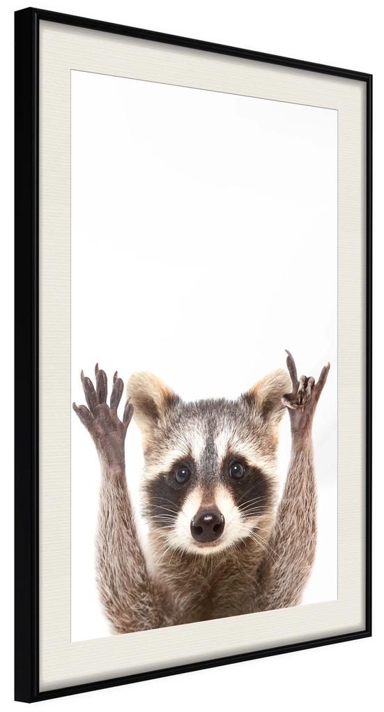 Artgeist Plagát - Raccoon [Poster] Veľkosť: 20x30, Verzia: Čierny rám s passe-partout