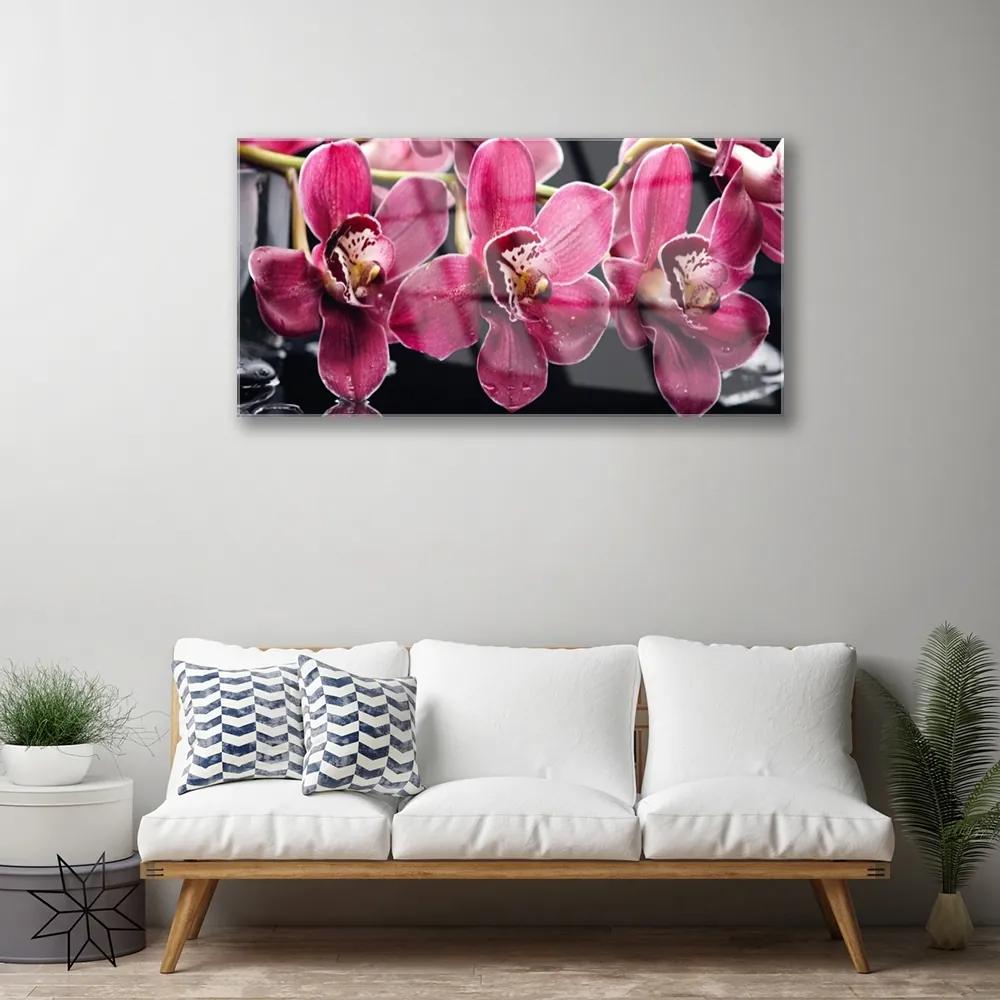 Skleneny obraz Kvety orchidey výhonky príroda 125x50 cm