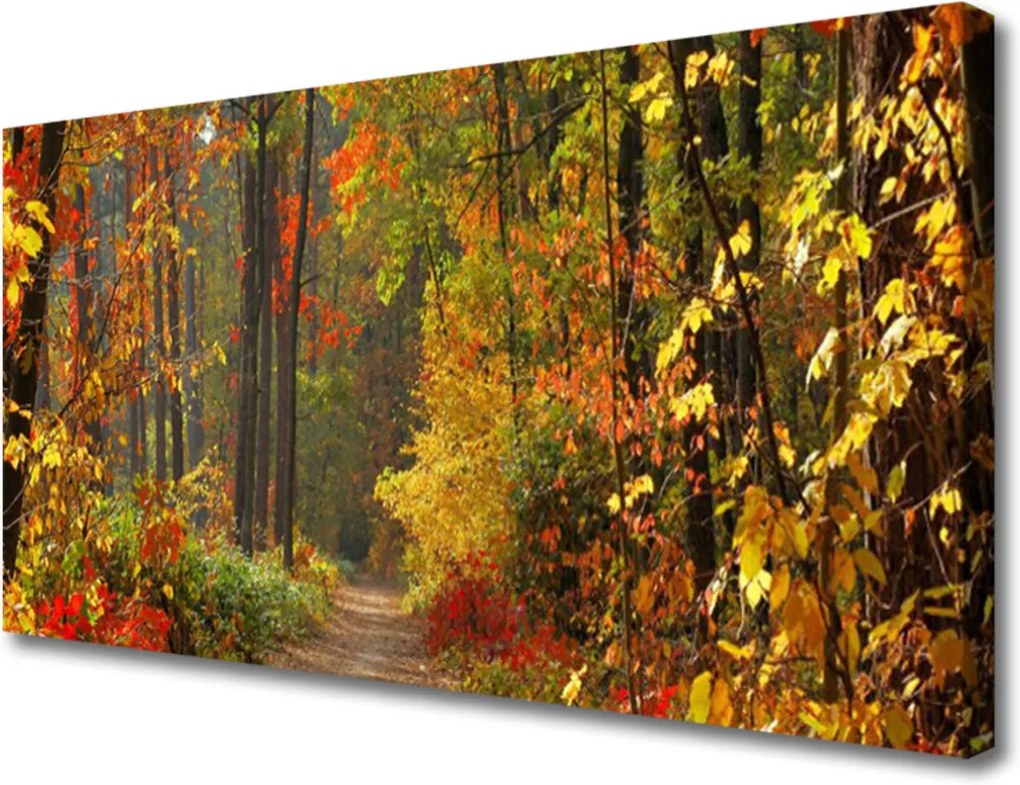 Obraz Canvas Skleněný les příroda podzim