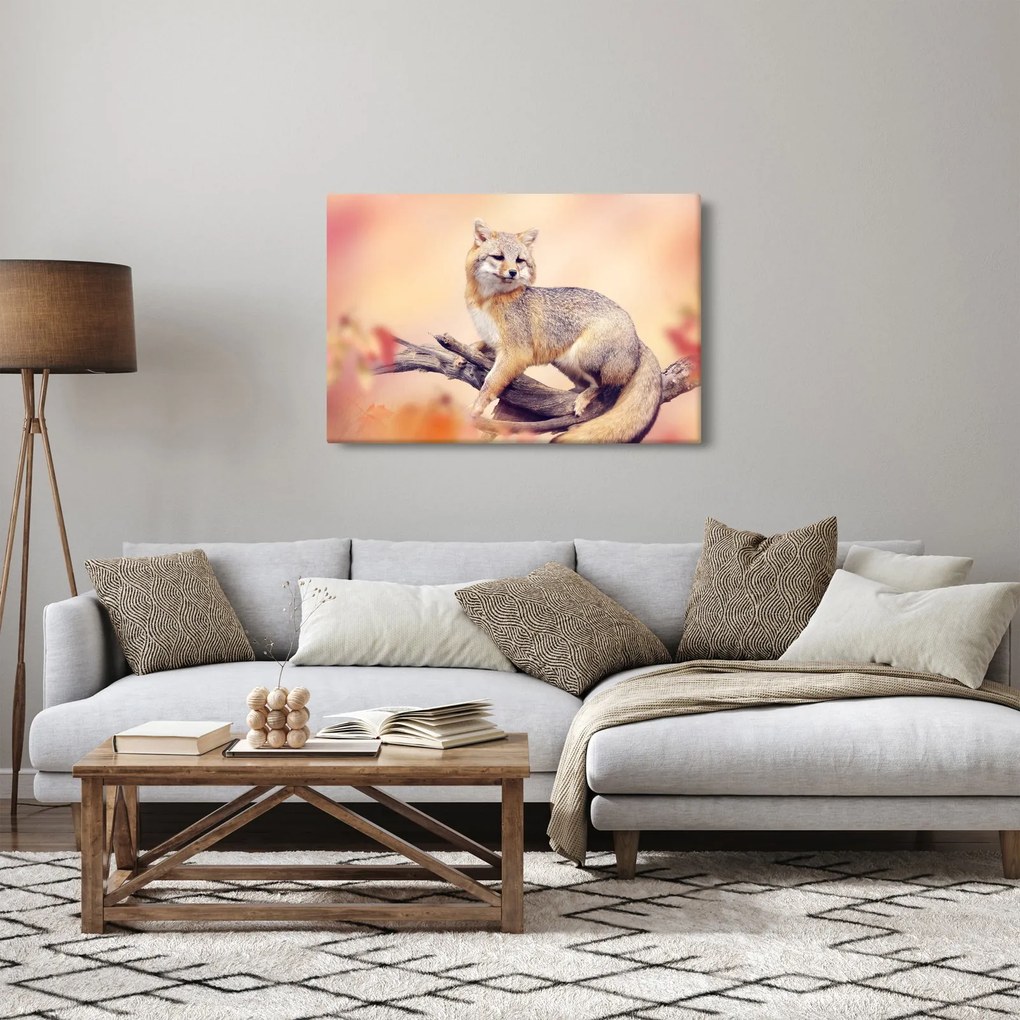Obraz - Líška (90x60 cm)