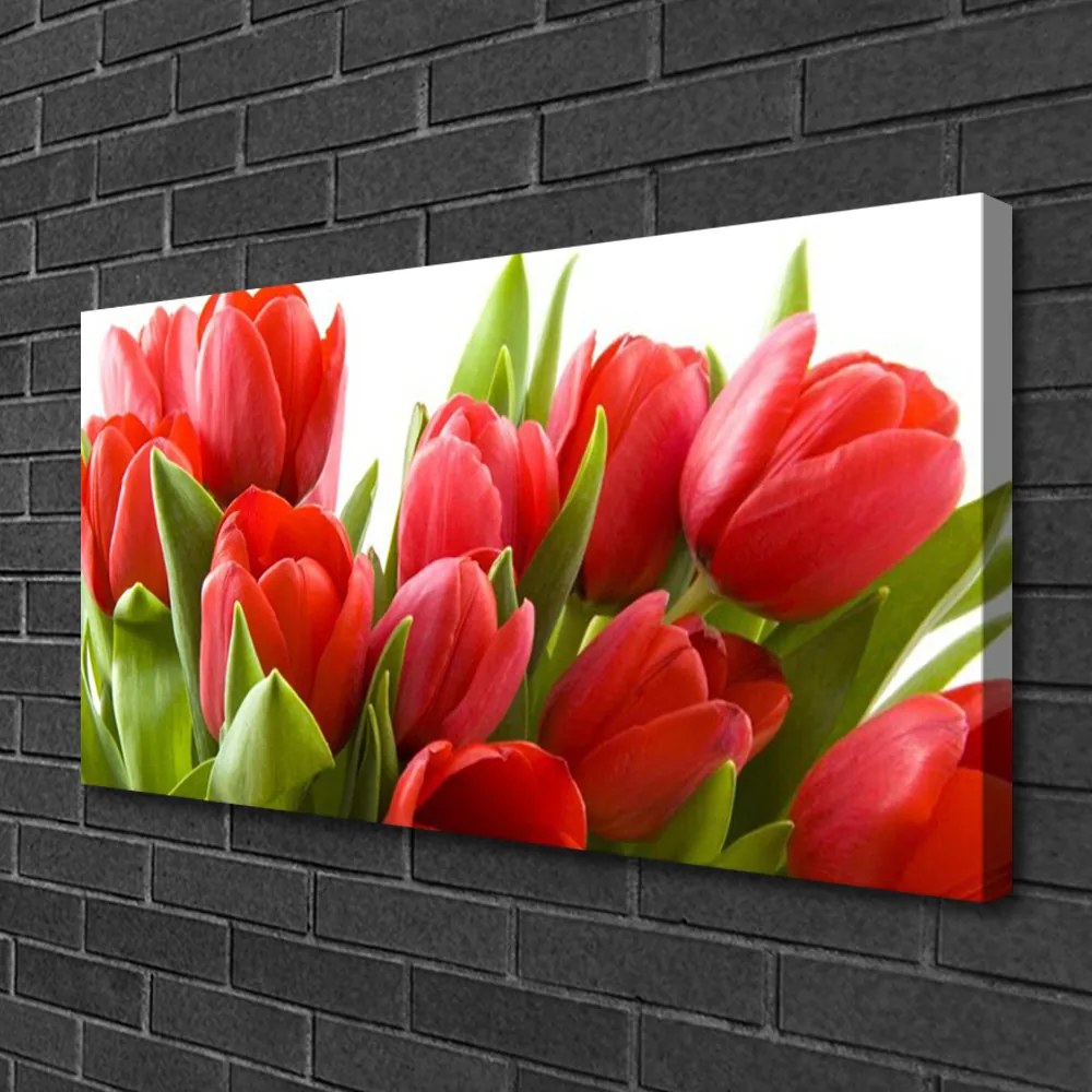 Obraz na plátne Tulipány kvety rastlina 140x70 cm