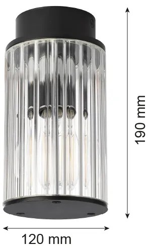 Argon 8773 - Vonkajšie stropné svietidlo NORFOLK 1xE27/15W/230V IP44 čierna