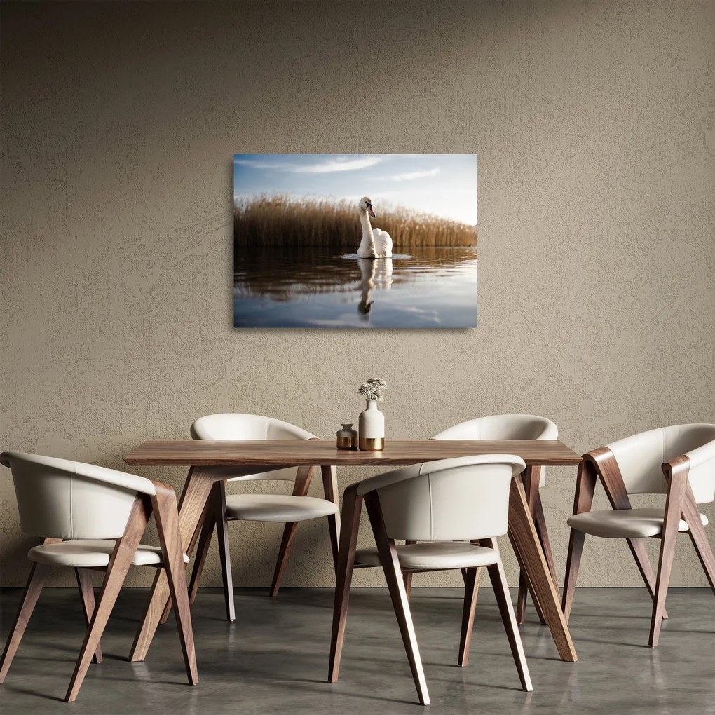 Sklenený obraz labute (70x50 cm)