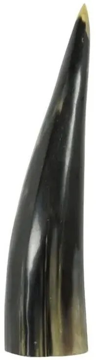Dekratívny roh Bizon - 25cm
