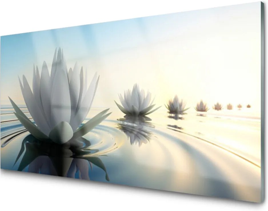 Skleněný obraz Vodné Lilie Kvety Rybník